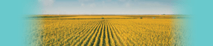 ACE-0815 March-April_header_email_blast