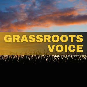 Column Images (720 x 720 px) (1)