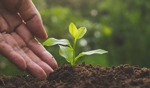 soil - small for social
